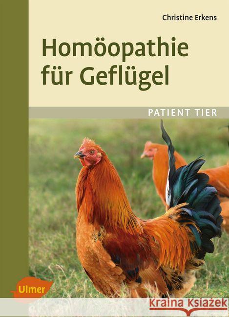 Homöopathie für Geflügel Erkens, Christine 9783818601058 Verlag Eugen Ulmer