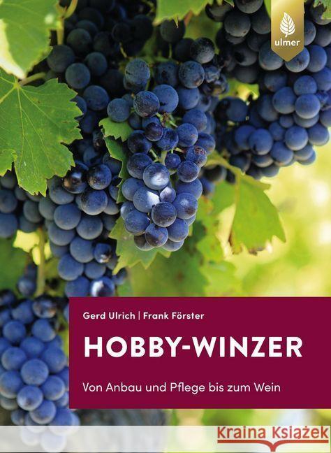 Hobby-Winzer : Von Anbau und Pflege bis zum Wein Ulrich, Gerd; Förster, Frank 9783818608323 Verlag Eugen Ulmer