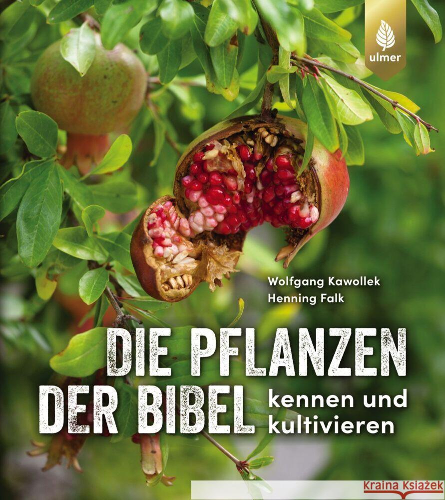 Die Pflanzen der Bibel Kawollek, Wolfgang; Falk, Henning 9783818612993 Verlag Eugen Ulmer