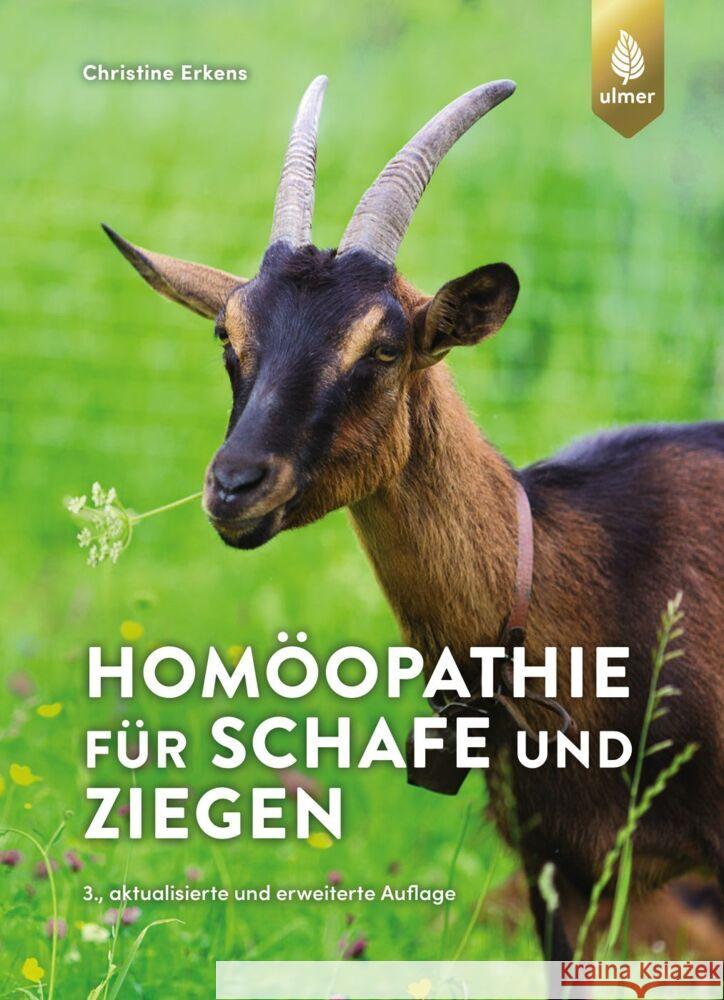 Homöopathie für Schafe und Ziegen Erkens, Christine 9783818616410 Verlag Eugen Ulmer