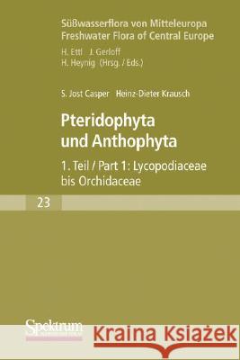 Süßwasserflora Von Mitteleuropa: Pteridophyta Und Anthophyta Teil 1 Büdel, Burkhard 9783827420541 Spektrum Akademischer Verlag
