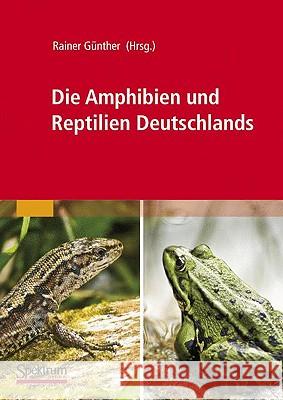 Die Amphibien Und Reptilien Deutschlands Rainer Ga1/4nther 9783827423221 Spektrum Akademischer Verlag