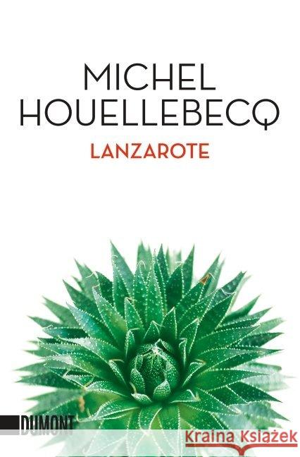 Lanzarote : Erzählung Houellebecq, Michel 9783832163549
