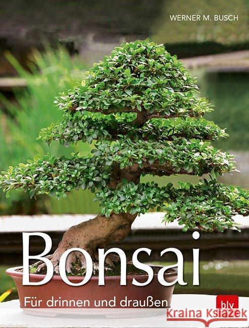 Bonsai : Für draußen und drinnen Busch, Werner M. 9783835417663