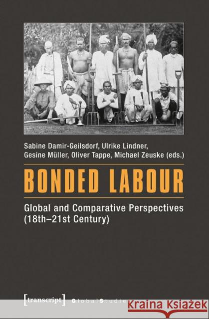 Bonded Labour: Global and Comparative Perspectives (18th-21st Century) Damir-Geilsdorf, Sabine 9783837637335 Transcript Verlag, Roswitha Gost, Sigrid Noke