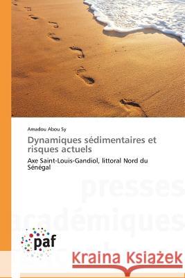 Dynamiques Sédimentaires Et Risques Actuels Sy-A 9783841623263 Presses Academiques Francophones