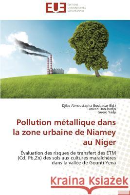 Pollution Métallique Dans La Zone Urbaine de Niamey Au Niger Collectif 9783841730329 Editions Universitaires Europeennes
