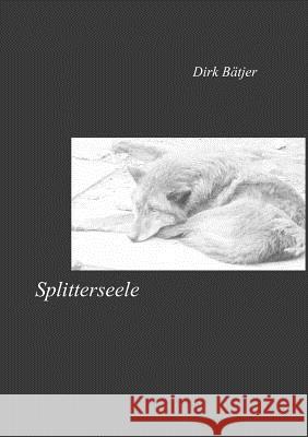 Splitterseele: Gefühle in Worten Bätjer, Dirk 9783842363557 Books on Demand