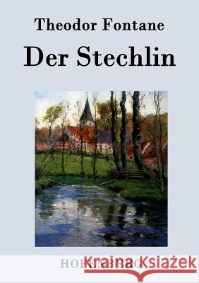 Der Stechlin: Roman Theodor Fontane 9783843070072