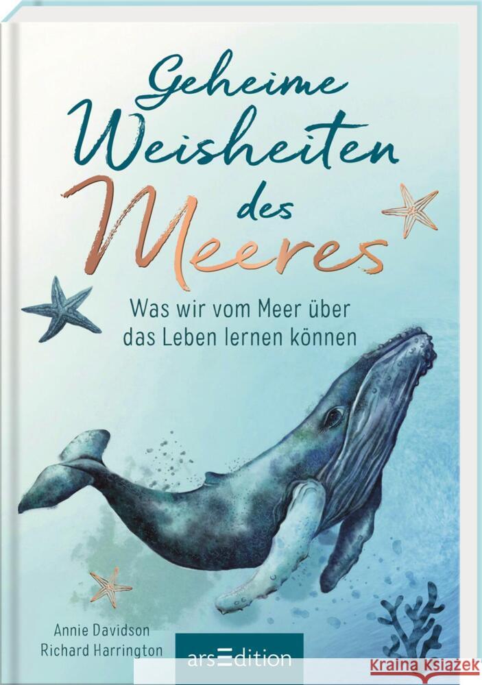 Geheime Weisheiten des Meeres Harrington, Richard 9783845847351