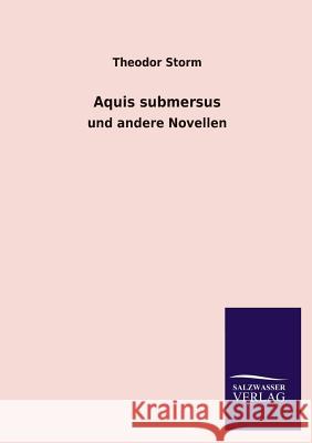 Aquis Submersus Theodor Storm 9783846031131 Salzwasser-Verlag Gmbh