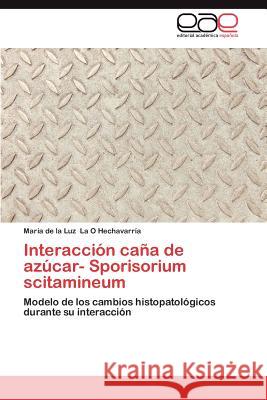 Interaccion Cana de Azucar- Sporisorium Scitamineum Mar a. De La Luz L 9783847361817 Editorial Acad Mica Espa Ola