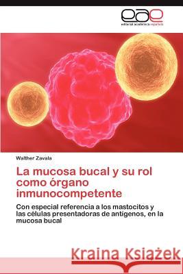 La mucosa bucal y su rol como órgano inmunocompetente Zavala Walther 9783847365723 Editorial Acad Mica Espa Ola