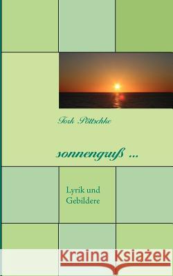 sonnengruß ... Pöttschke, Tork 9783848217946 Books on Demand