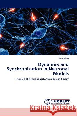 Dynamics and Synchronization in Neuronal Models Toni P 9783848436347 LAP Lambert Academic Publishing