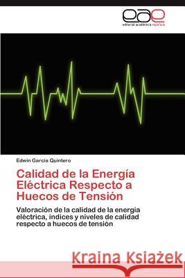 Calidad de La Energia Electrica Respecto a Huecos de Tension Edwin Gar 9783848477616