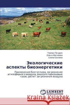 Ekologicheskie Aspekty Bioenergetiki Pachurin German                          Masleeva Ol'ga                           Sosnina Elena 9783848483662 LAP Lambert Academic Publishing