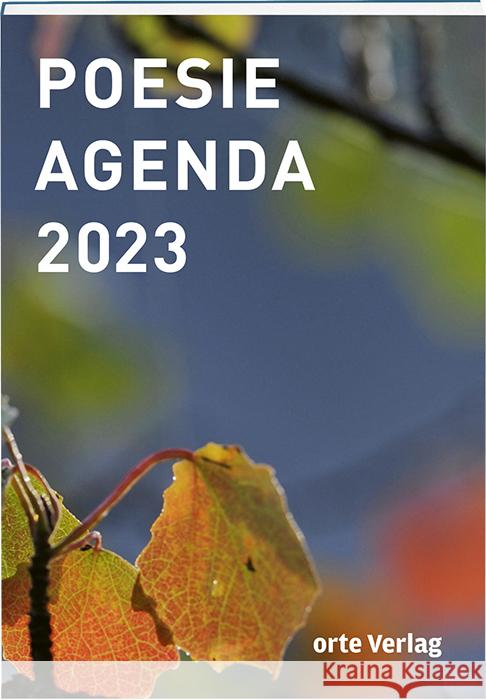 Poesie Agenda 2023 Fäh, Jolanda, Mathies, Susanne 9783858303066 Orte