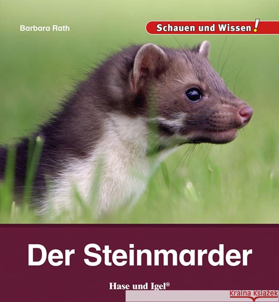 Der Steinmarder Rath, Barbara 9783863164249