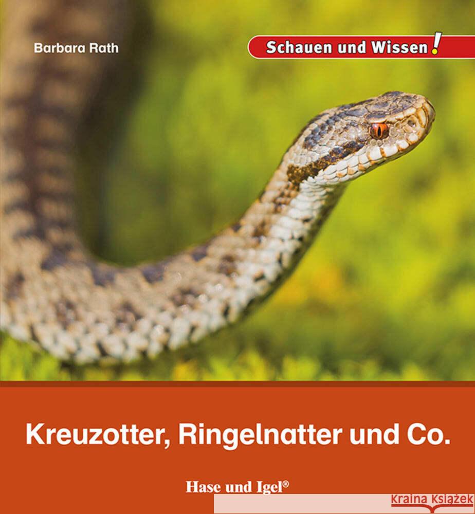 Kreuzotter, Ringelnatter und Co. Rath, Barbara 9783863164300