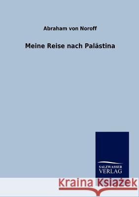 Meine Reise nach Palästina Noroff, Abraham Von 9783864448836 Salzwasser-Verlag
