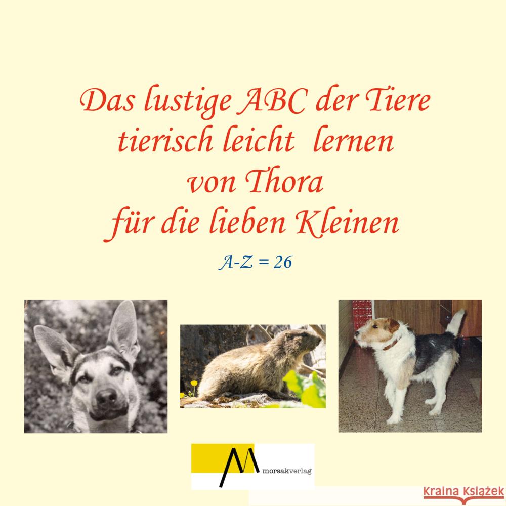 Das lustige ABC der Tiere Wunderlich, Thora 9783865121745