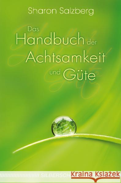 Das Handbuch der Achtsamkeit und Güte Salzberg, Sharon 9783898453455 Silberschnur