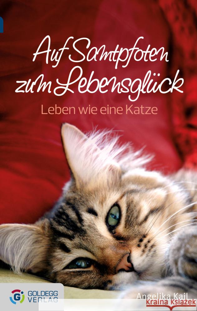 Auf Samtpfoten zum Lebensglück : Leben wie eine Katze Kail, Angelika 9783902903693 Goldegg