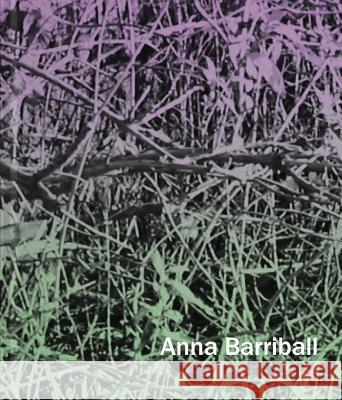 Anna Barriball Barriball, Anna; Iversen, Margaret; Lunn, Felicity 9783903228764 Verlag für moderne Kunst