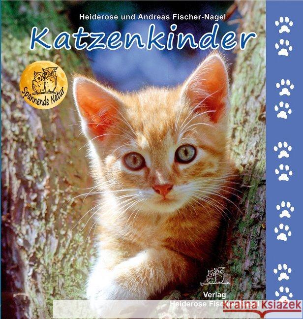 Katzenkinder Fischer-Nagel, Heiderose; Fischer-Nagel, Andreas 9783930038312