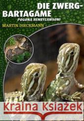 Die Zwergbartagame : Pogona henrylawsoni Dieckmann, Martin   9783937285979 Natur und Tier-Verlag