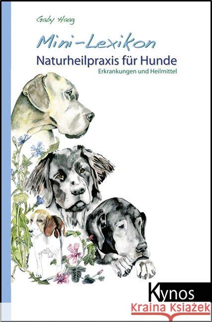 Mini-Lexikon Naturheilpraxis für Hunde : Erkrankungen und Heilmittel Haag, Gaby 9783942335997 Kynos