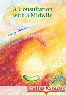 Consultation with a midwife: Sensitive, natural guidance through pregnancy, childbirth, childbed and breast-feeding Stadelmann, Ingeborg 9783943793000