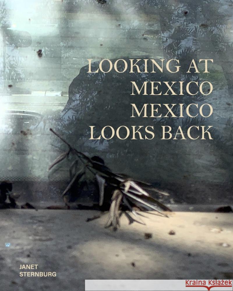 Looking at Mexico / Mexico Looks Back Sternburg, Janet 9783954765782