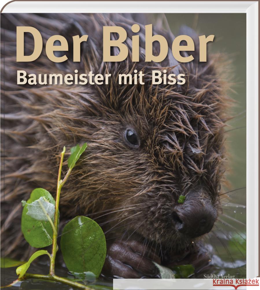 Der Biber Zahner, Volker, Schmidbauer, Markus, Schwab, Gerhard 9783955877934 SüdOst Verlag/Auslfg. Gietl