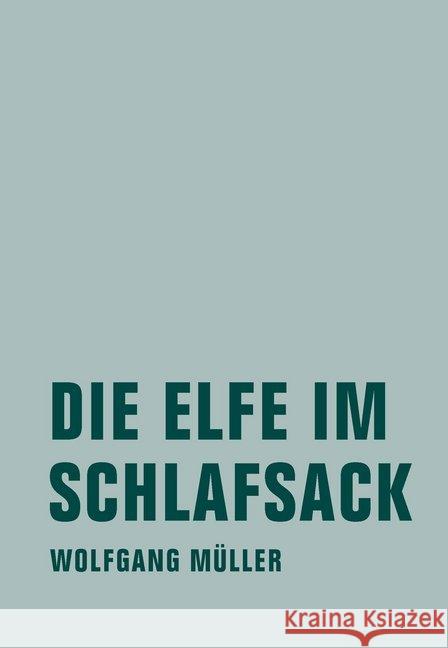 Die Elfe im Schlafsack : Neue Märchen und Fabeln aus Island Müller, Wolfgang 9783957323149