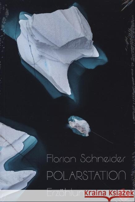 Polarstation - Erzählungen Schneider, Florian 9783959962476