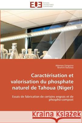 Caractérisation et valorisation du phosphate naturel de tahoua (niger) Collectif 9786131537240 Editions Universitaires Europeennes