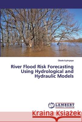 River Flood Risk Forecasting Using Hydrological and Hydraulic Models Icyimpaye, Gisele 9786200083791 LAP Lambert Academic Publishing