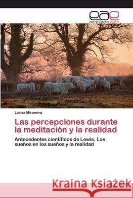 Las percepciones durante la meditación y la realidad Larisa Mironova 9786200369758 Editorial Academica Espanola