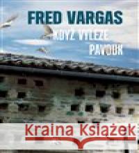 Když vyleze pavouk Fred Vargas 9788025723715