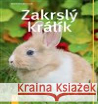 Zakrslý králík Monika Weglerová 9788075411518 Vašut