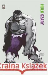 Hulk Szary Jeph Loeb, Tim Sale 9788361319641