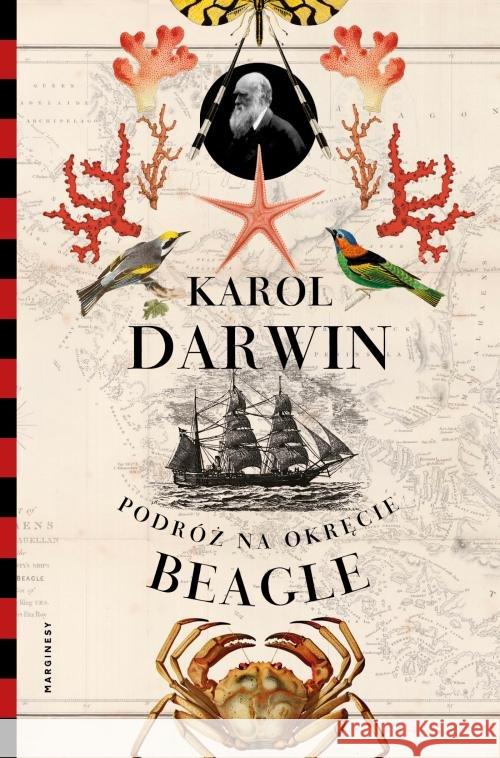 Podróż na okręcie Beagle Darwin Karol 9788366335356 Marginesy