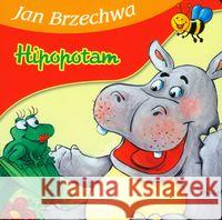 Bajki dla malucha - Hipopotam Brzechwa Jan 9788374373838