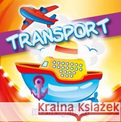 Transport praca zbiorowa 9788378604099
