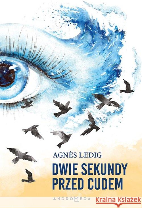 Dwie sekundy przed cudem Ledig Agnès 9788394762605