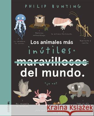 Los Animales Más Inútiles del Mundo Bunting, Philip 9788491018100 Combel Ediciones Editorial Esin, S.A.
