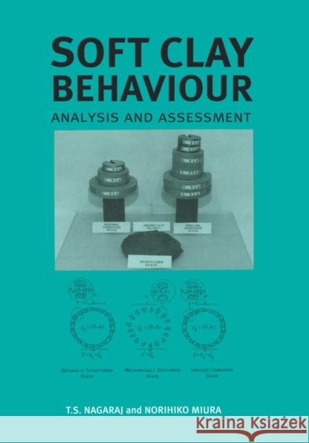 Soft Clay Behaviour Analysis & Assessmen Nagaraj, T. S. 9789058093295