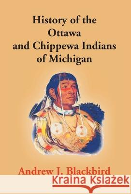 History Of The Ottawa And Chippewa Indians Of Michigan: A Grammar Of Their Language, And Personal And Family History Of The Author Andrew J 9789351286059